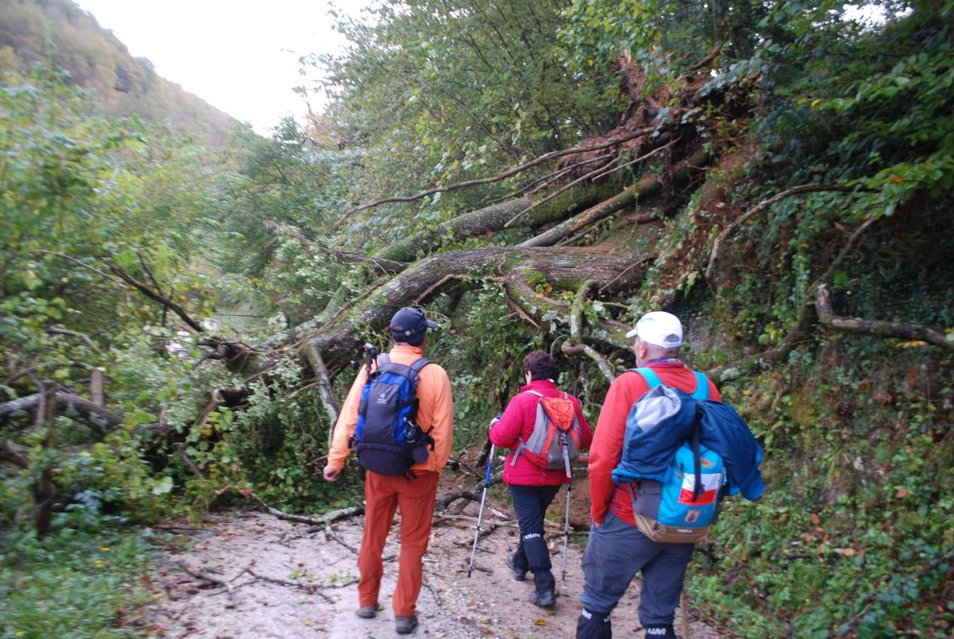 El Grupo de Montaña Cacicedo nos enseña este recorrido por el corazón del municipio de Cabuérniga