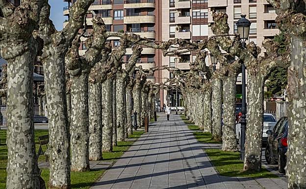 Colindres registrò en 2017 una tasa de criminalidad de 9,77% infracciones penales por cada 1.000 habitantes.