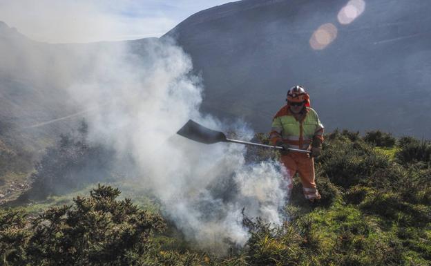 Continúan activos siete incendios forestales, todos en zonas altas