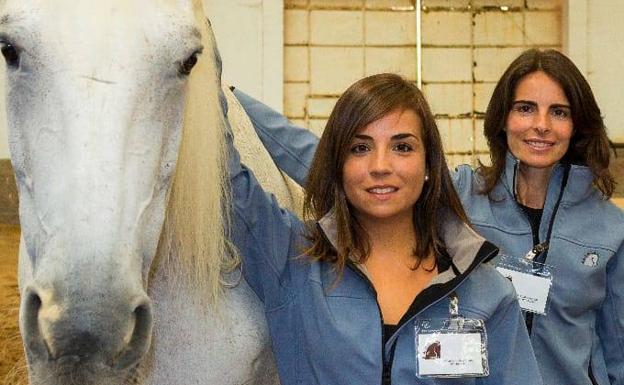 Caballos que sanan en Cantabria