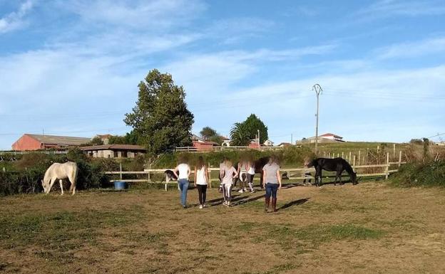 Un grupo asistente a una de sus sesiones de 'equinoterapia'.