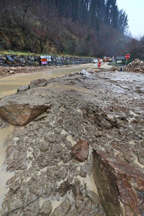 Fotos: Toneladas de tierra cortan la carretera a Bárcena Mayor