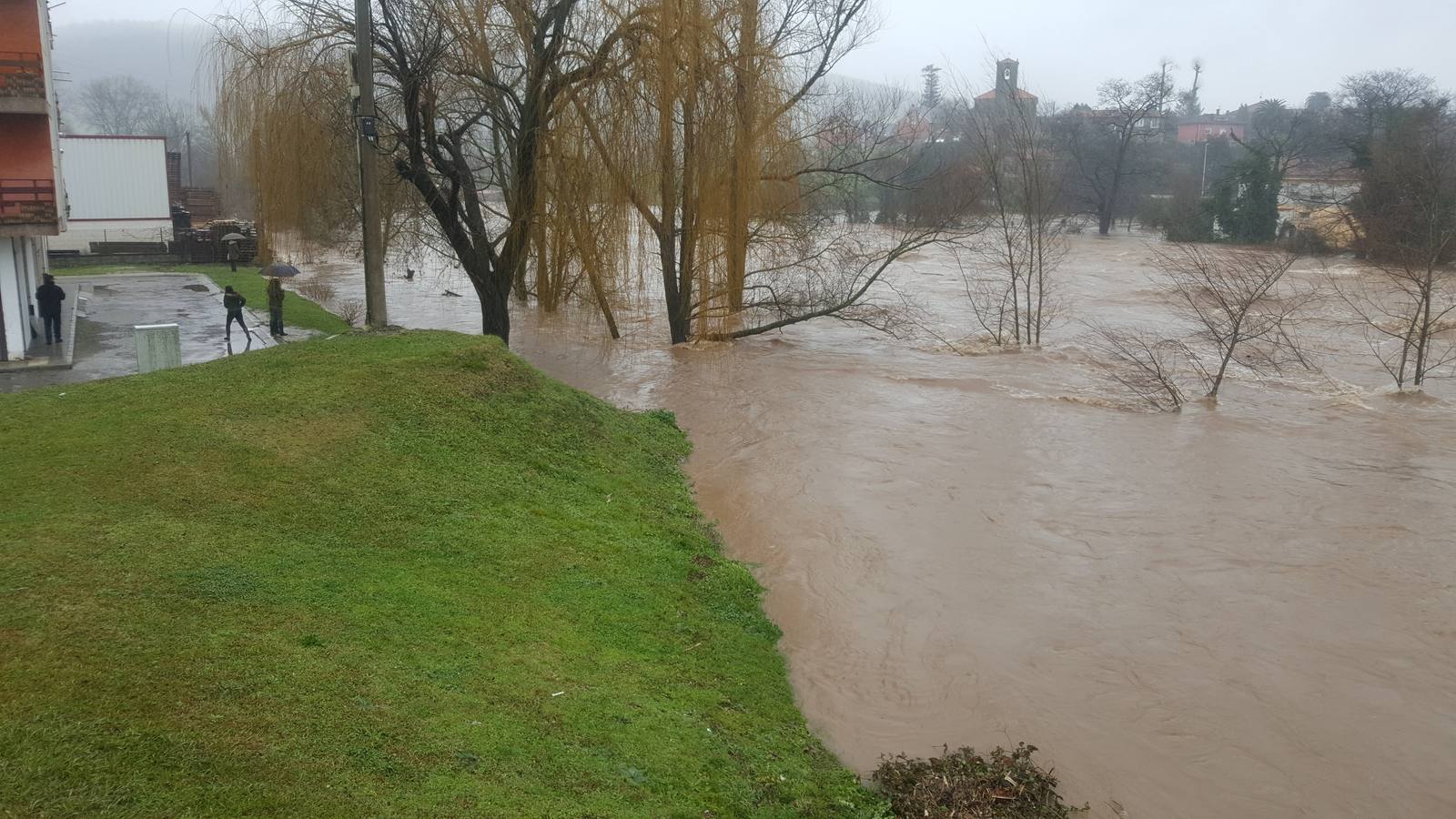 Fotos: Crecida del río Pas a su paso por Salcedo, Vioño y Oruña