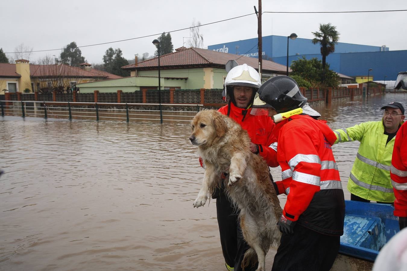 Fotos: Torrelavega inundada