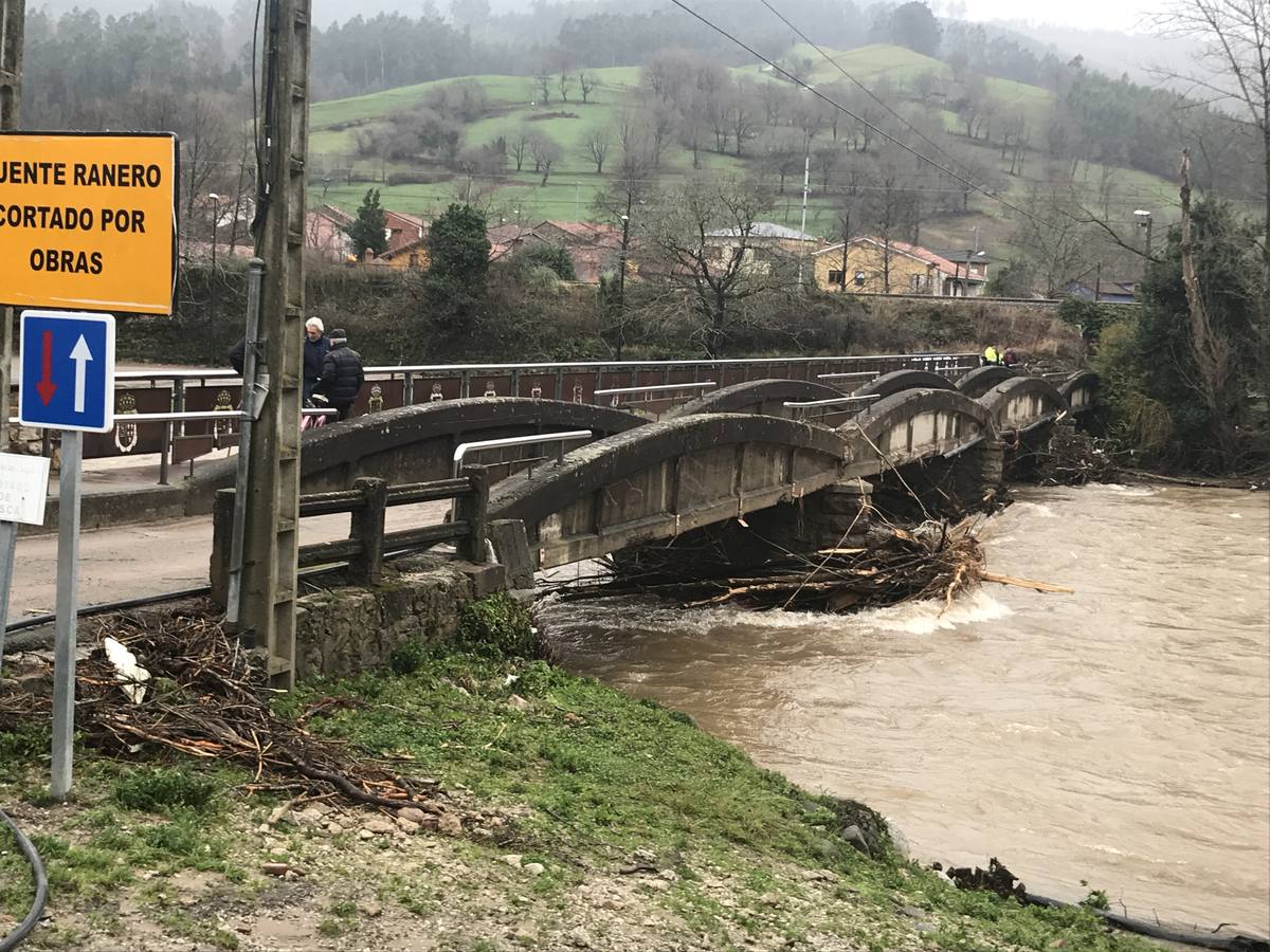 Maleza obstaculizando el curso del río bajo el puente Ranero de Los Corrales.