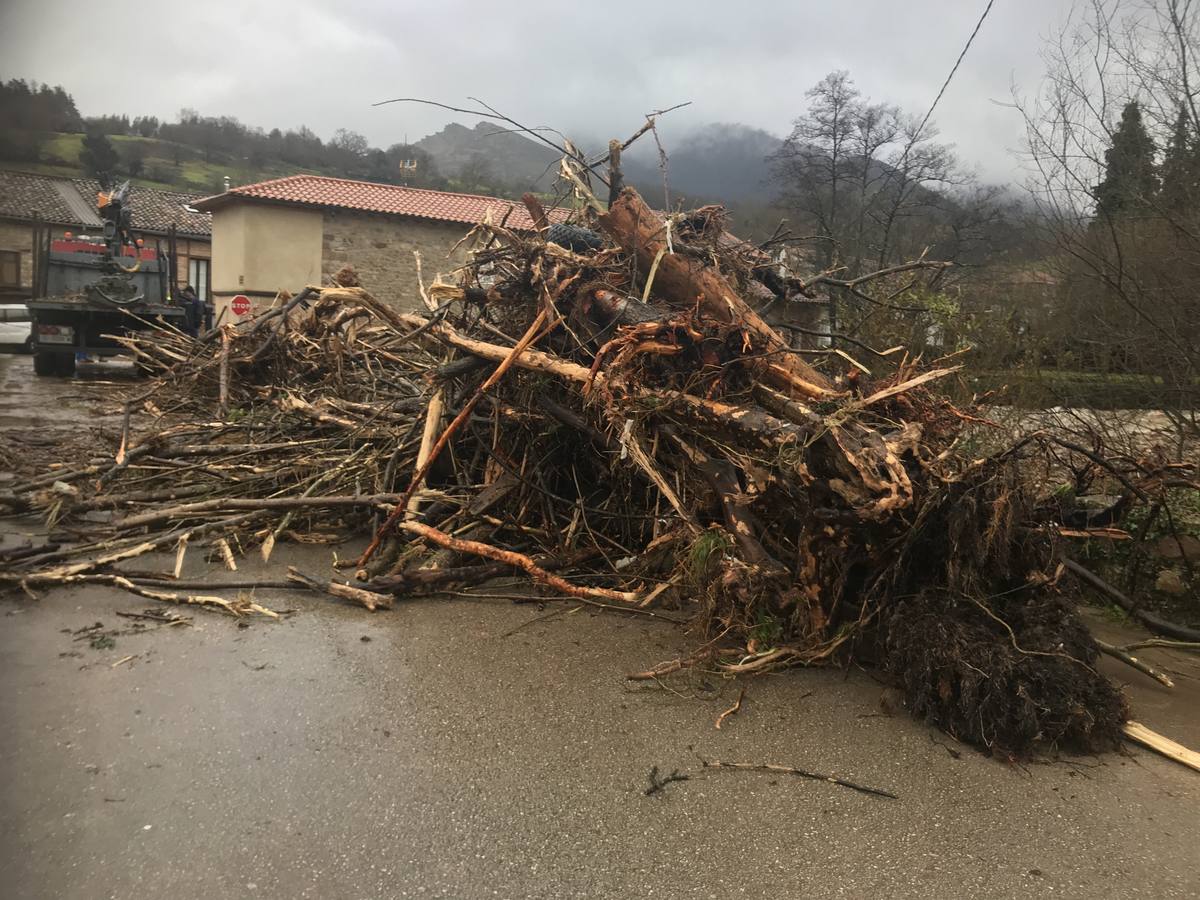 La vuelta de las aguas a su cauce deja al descubierto el tapón de troncos y ramas encima del puente de Santa Olalla (Molledo) que dejó incomunicado al pueblo y obligó a la evacuación de todos los vecinos.