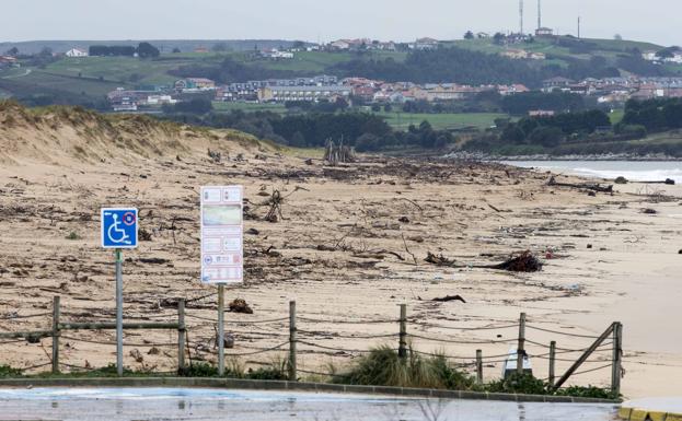 La playa de Liencres, cubierta de ramas arrastradas por el mar.