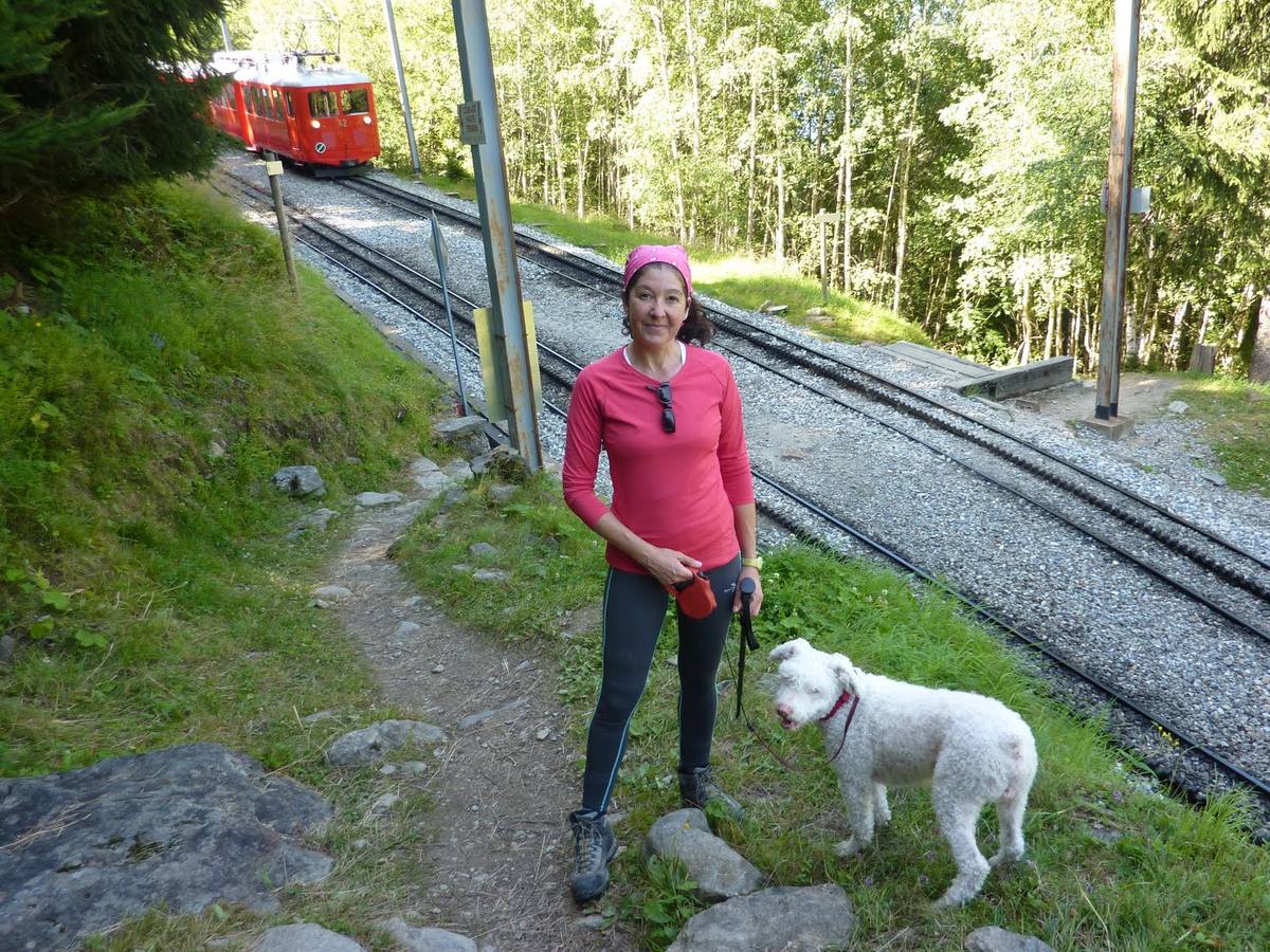 Fotos: Ruta que discurre por Chamonix, Montenvers y Plan de L&#039;Aguille en los Alpes franceses