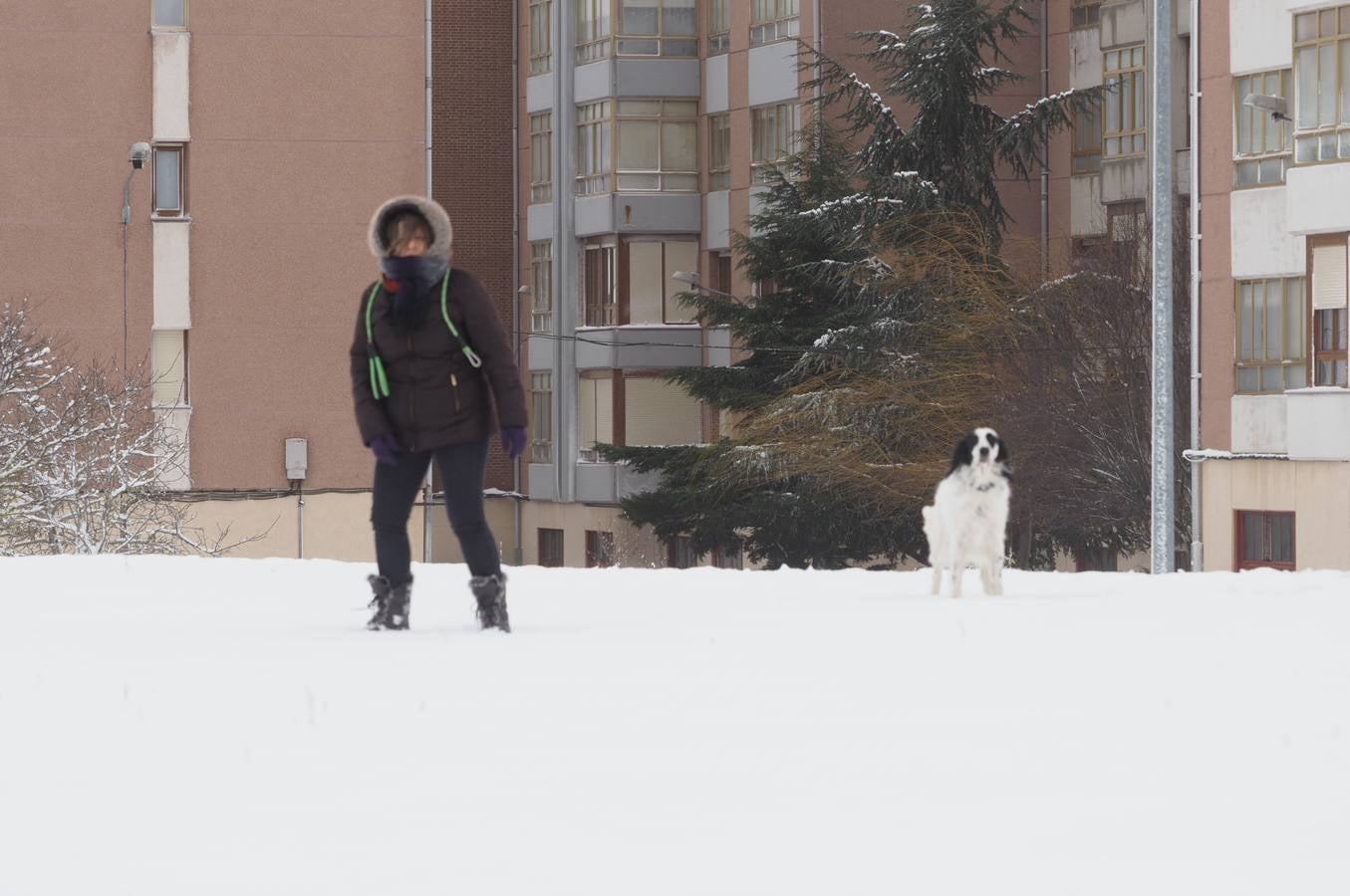 Así ha amanecido este sábado Reinosa, con las calles cubiertas por una espesa capa de nieve