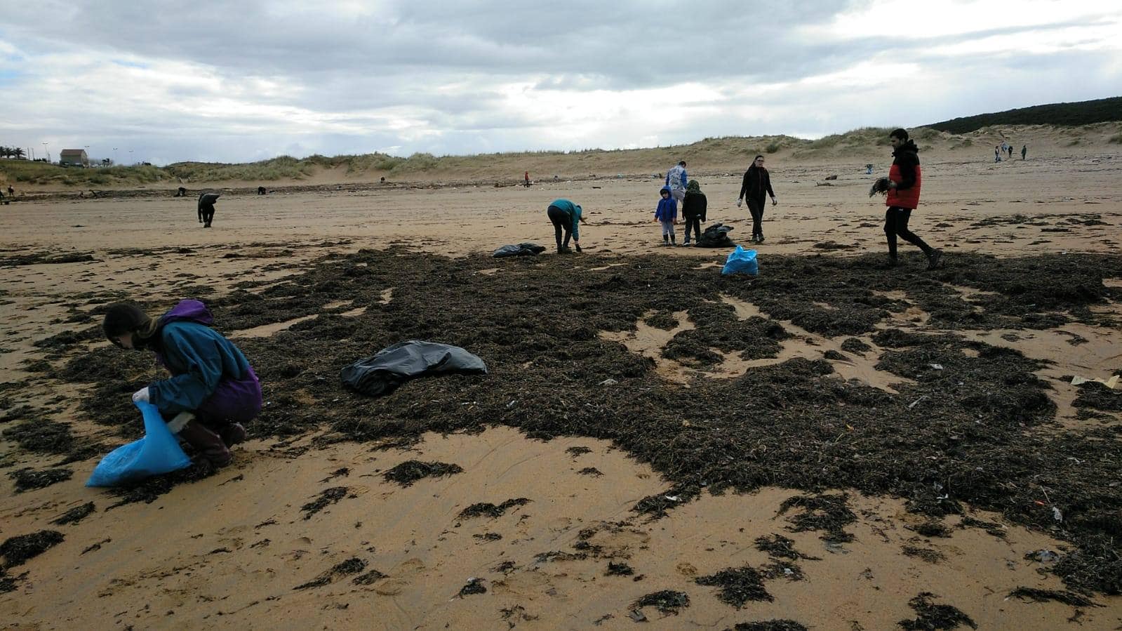 Fotos: Cientos de voluntarios participan en la jornada de limpieza de las playas del Besaya arrasadas por las riadas