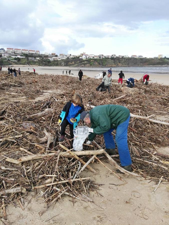 Fotos: Cientos de voluntarios participan en la jornada de limpieza de las playas del Besaya arrasadas por las riadas