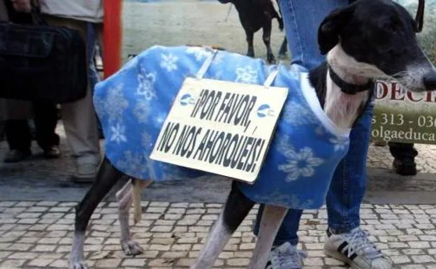 Fotografía de archivo de una manifestación contra el maltrato animal.