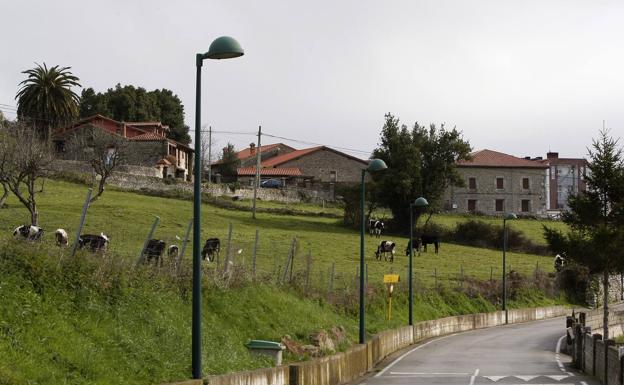 El cuerpo fue encontrado bajo unos árboles que había al lado del muro de este prado, por el que ella trató de huir.