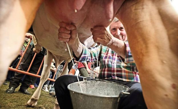 Imagen de la feria de ruiloba, el año pasado.