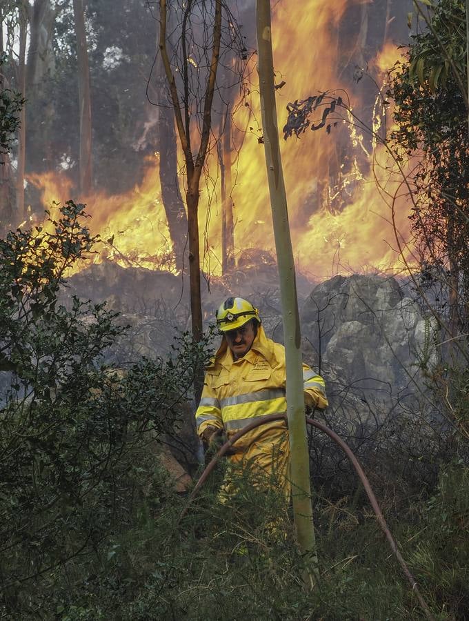 Fotos: Incendios en La Cavada y Vega de Pas este viernes