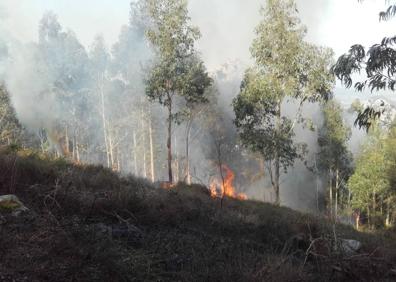 Imagen secundaria 1 - Cantabria lucha contra casi medio centenar de incendios con el apoyo de la UME
