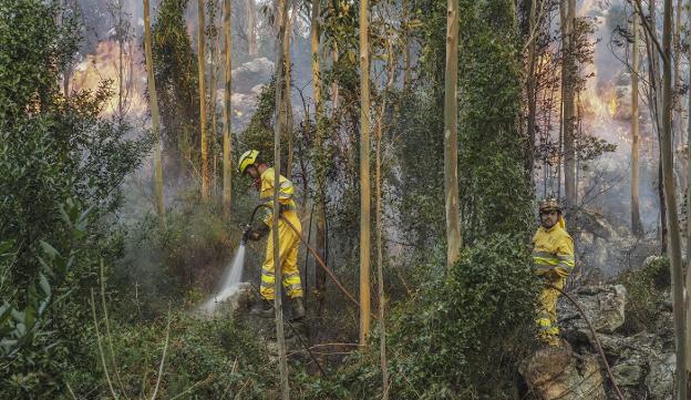 Operarios de Montes actúan en uno de los incendios en La Cavada.