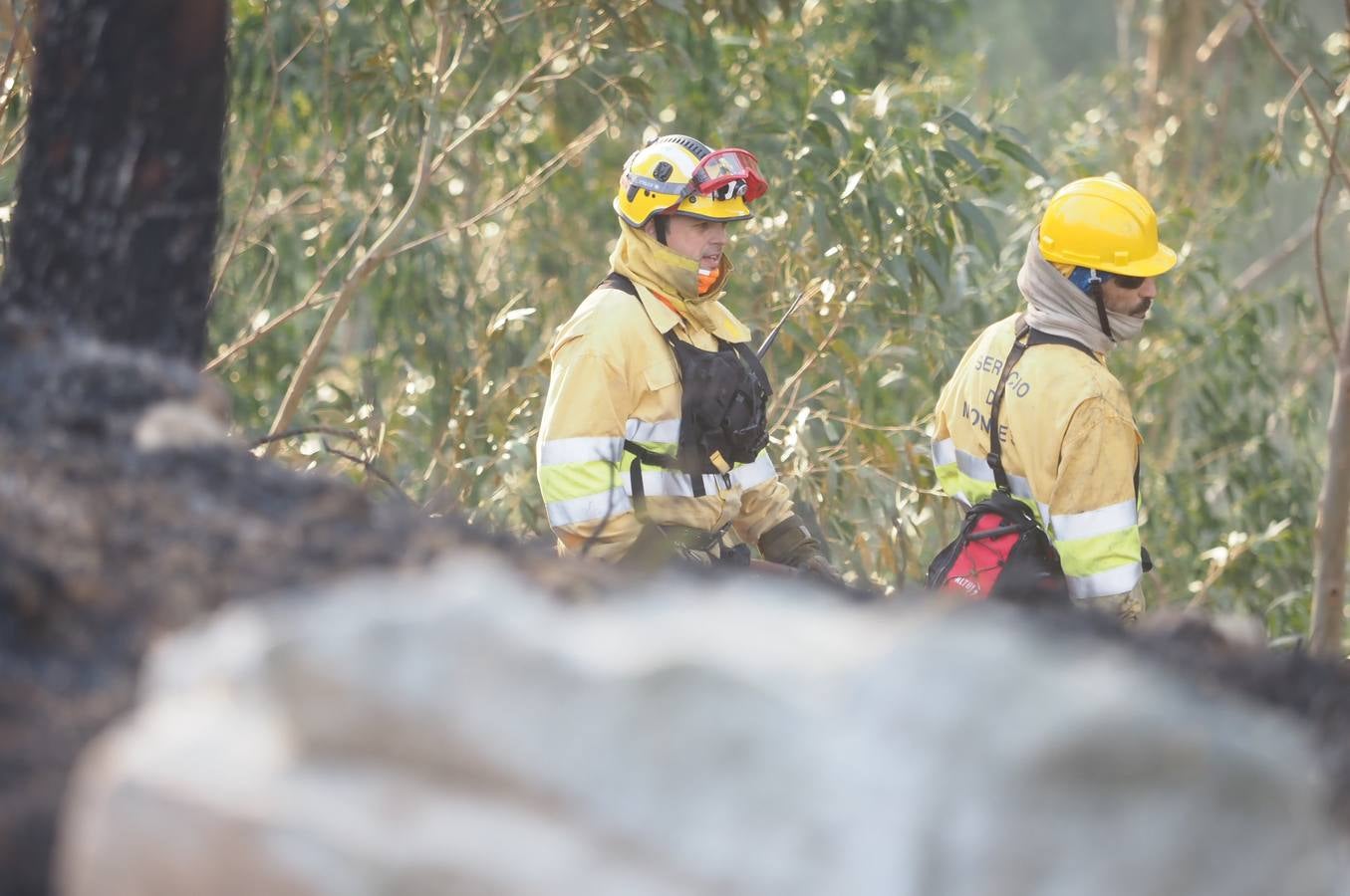 Fotos: La lucha contra el fuego de los operarios de Montes