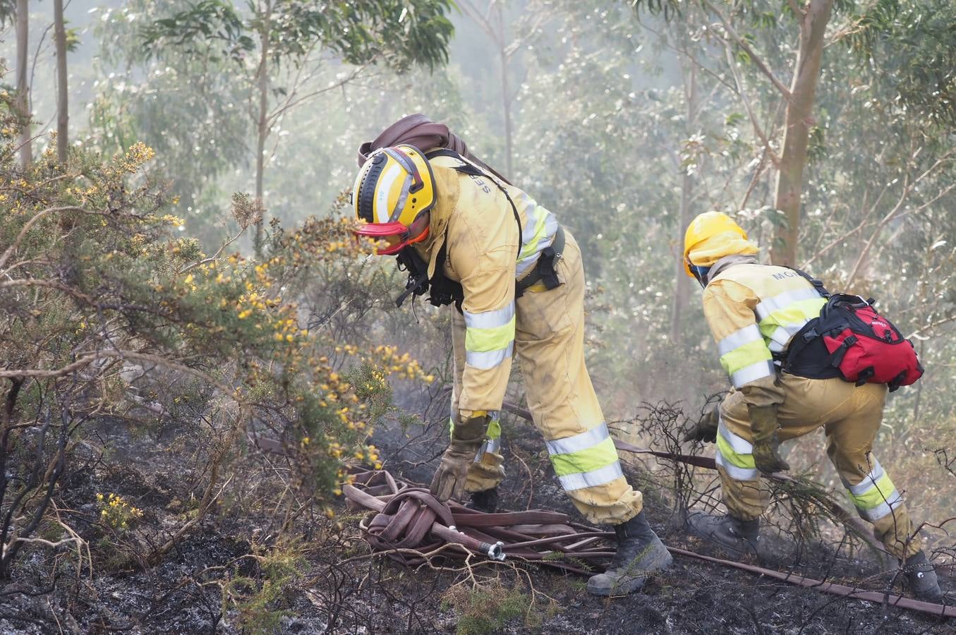 Fotos: La lucha contra el fuego de los operarios de Montes