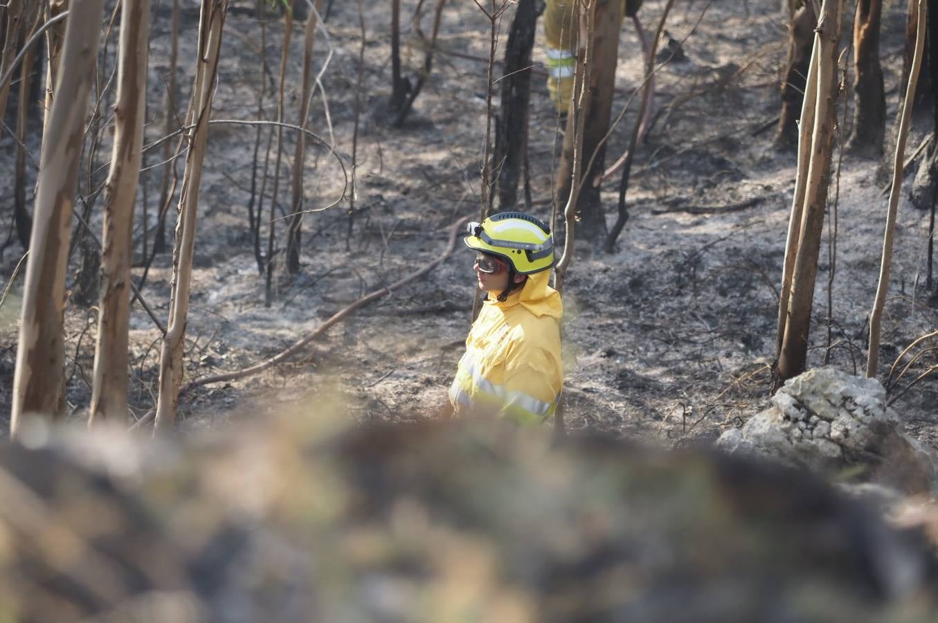 Fotos: La lucha contra el fuego de los operarios de Montes