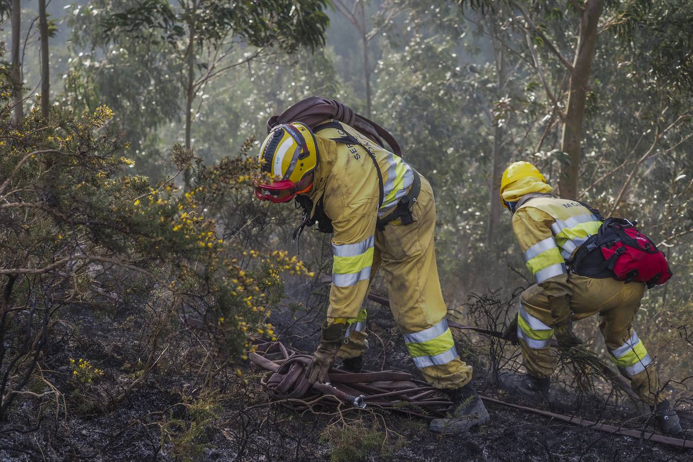 Fotos: Cantabria apaga los últimos incendios tras seis días trágicos