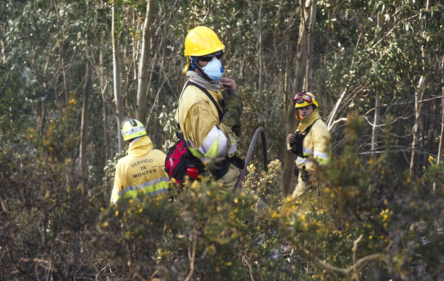 Fotos: Cantabria apaga los últimos incendios tras seis días trágicos