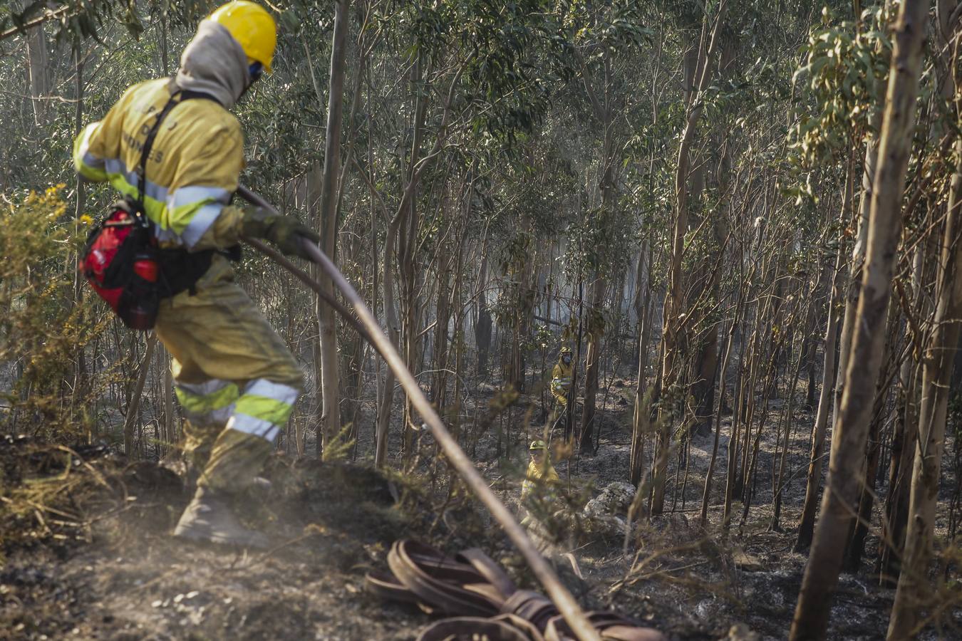 Fotos: Cantabria apaga los últimos incendios tras seis días trágicos