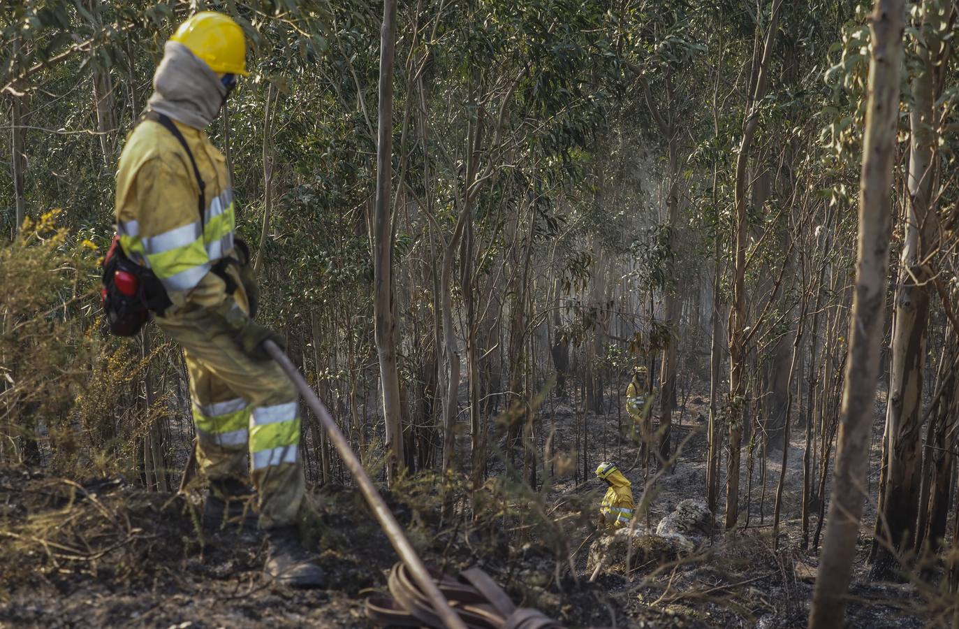 Fotos: Cantabria apaga los últimos incendios tras seis días trágicos