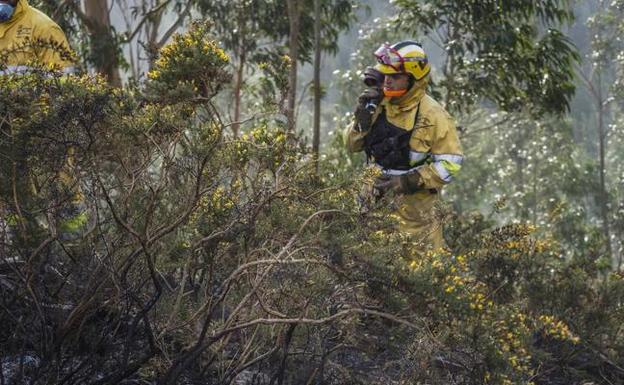 Un integrante de una de las cuadrillas forestales que han trabajado estos últimos días para apagar los fuegos. 