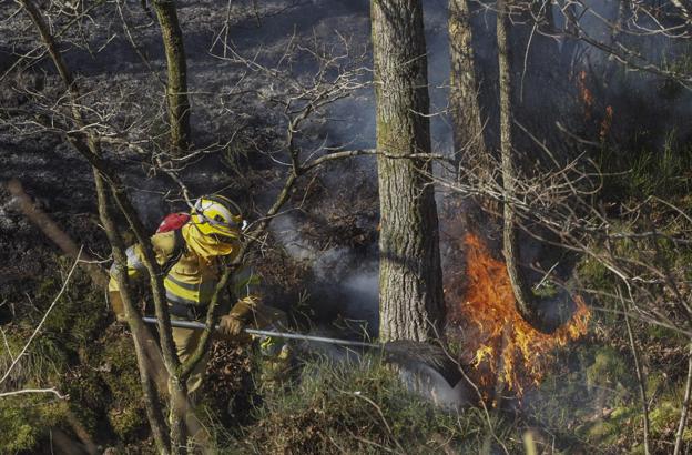 Un efectivo del operativo de lucha contra incendios utiliza su batefuegos para tratar de extinguir las llamas en Pisueña.