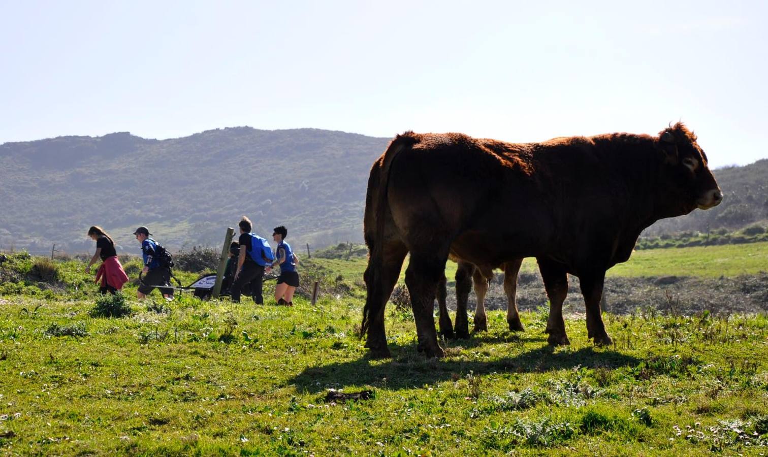 Fotos: Ruta adaptada y en familia por los acantilados de Alfoz de Lloredo