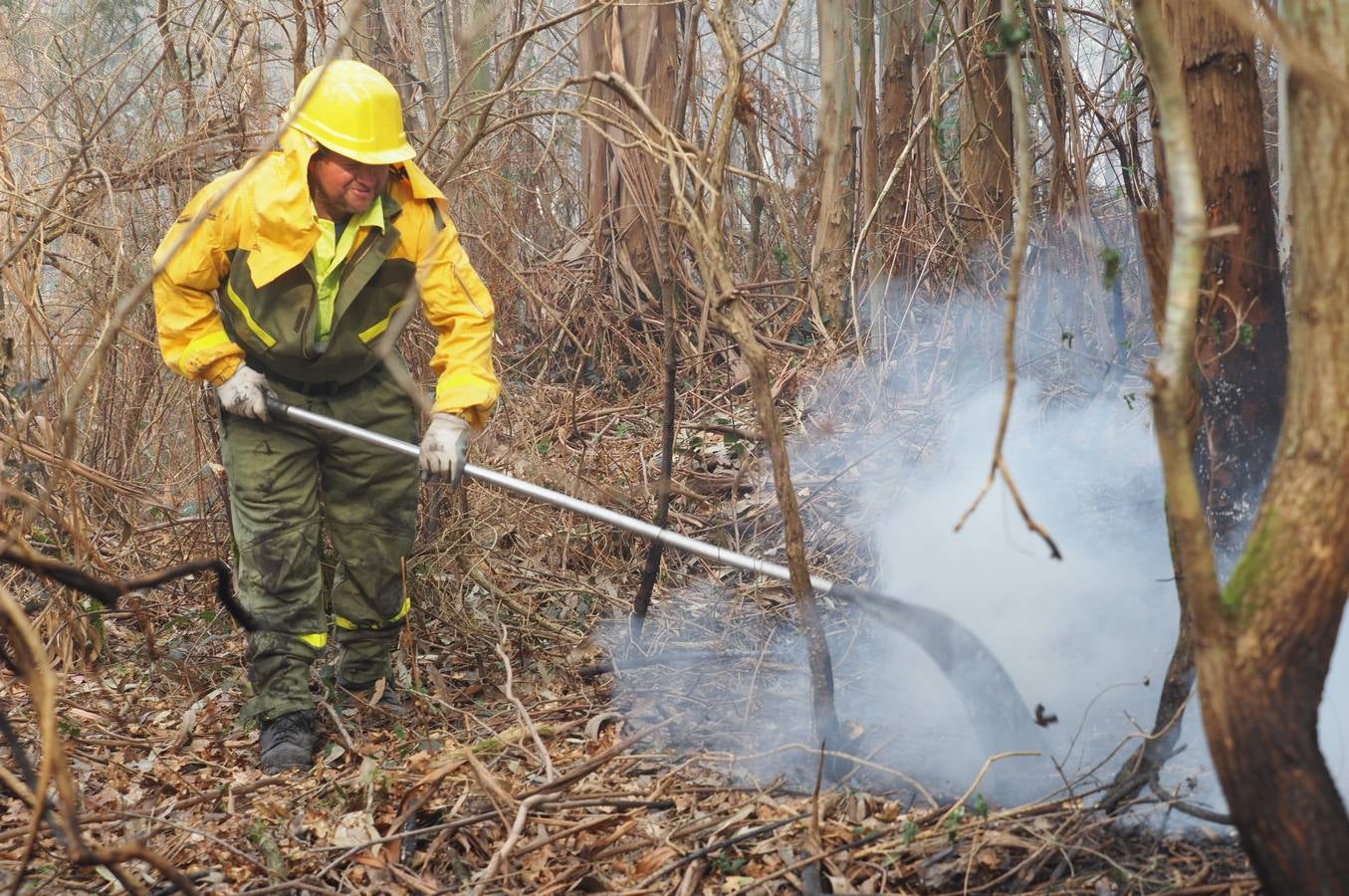 Fotos: Incendios en Cantabria