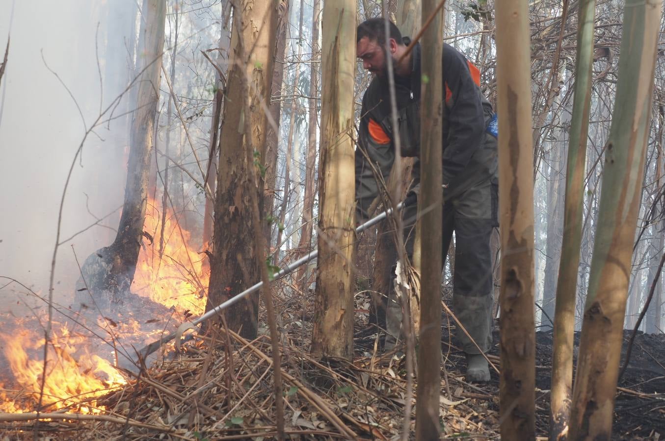 Fotos: Incendios en Cantabria