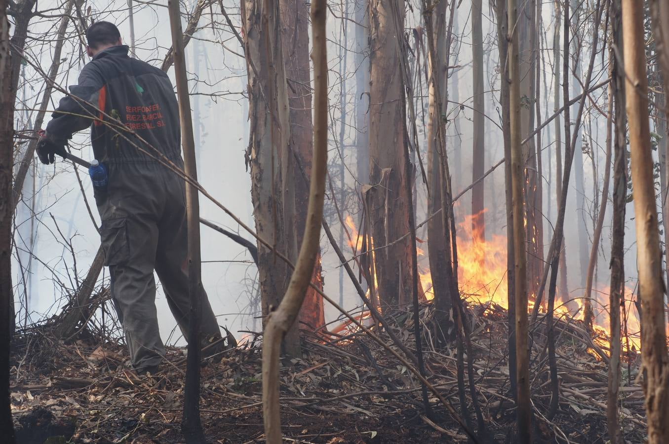 Fotos: Incendios en Cantabria