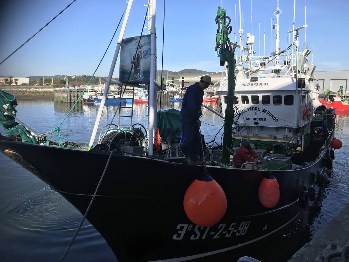 Fotos: Descarga de los primeros bocartes en el puerto de Santoña