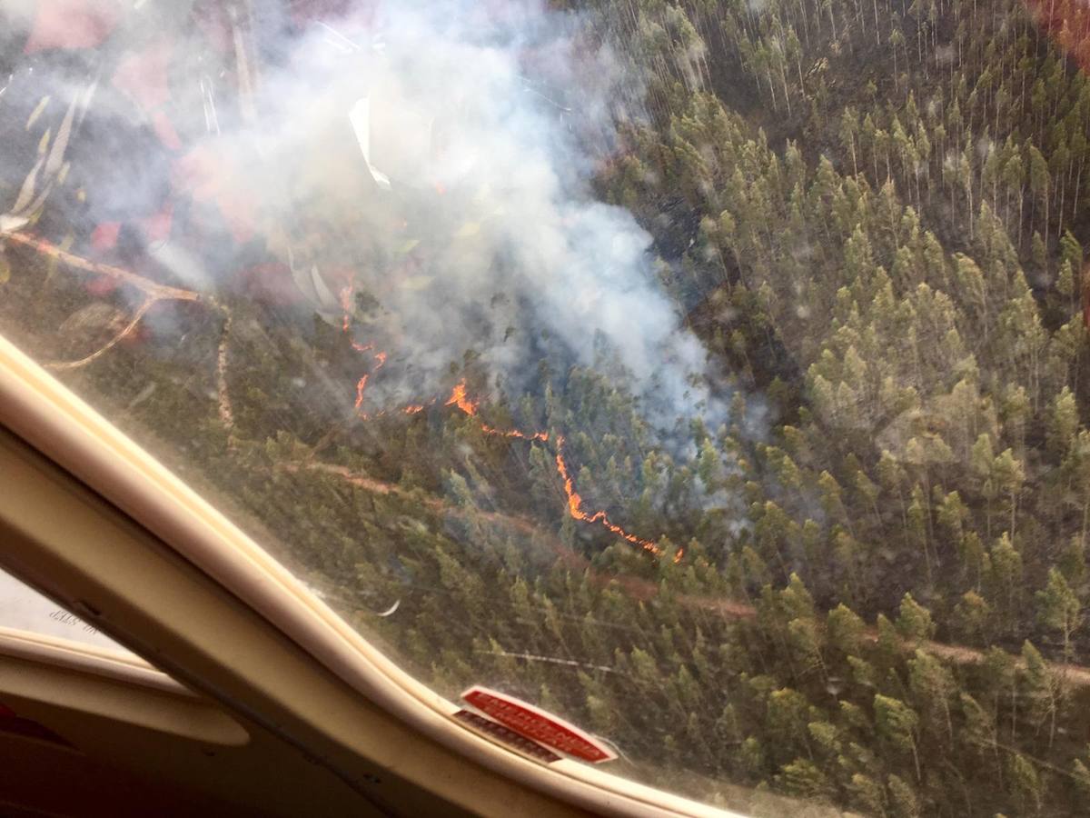 Imágenes de los incendios forestales registrados desde el martes por la tarde hasta este miércoles por la mañana en las zonas de Puente Viesgo, San Roque de Riomiera, San Sebastián de Garabandal, Penagos, Toranzo, Vega de Pas y La Penilla de Cayón