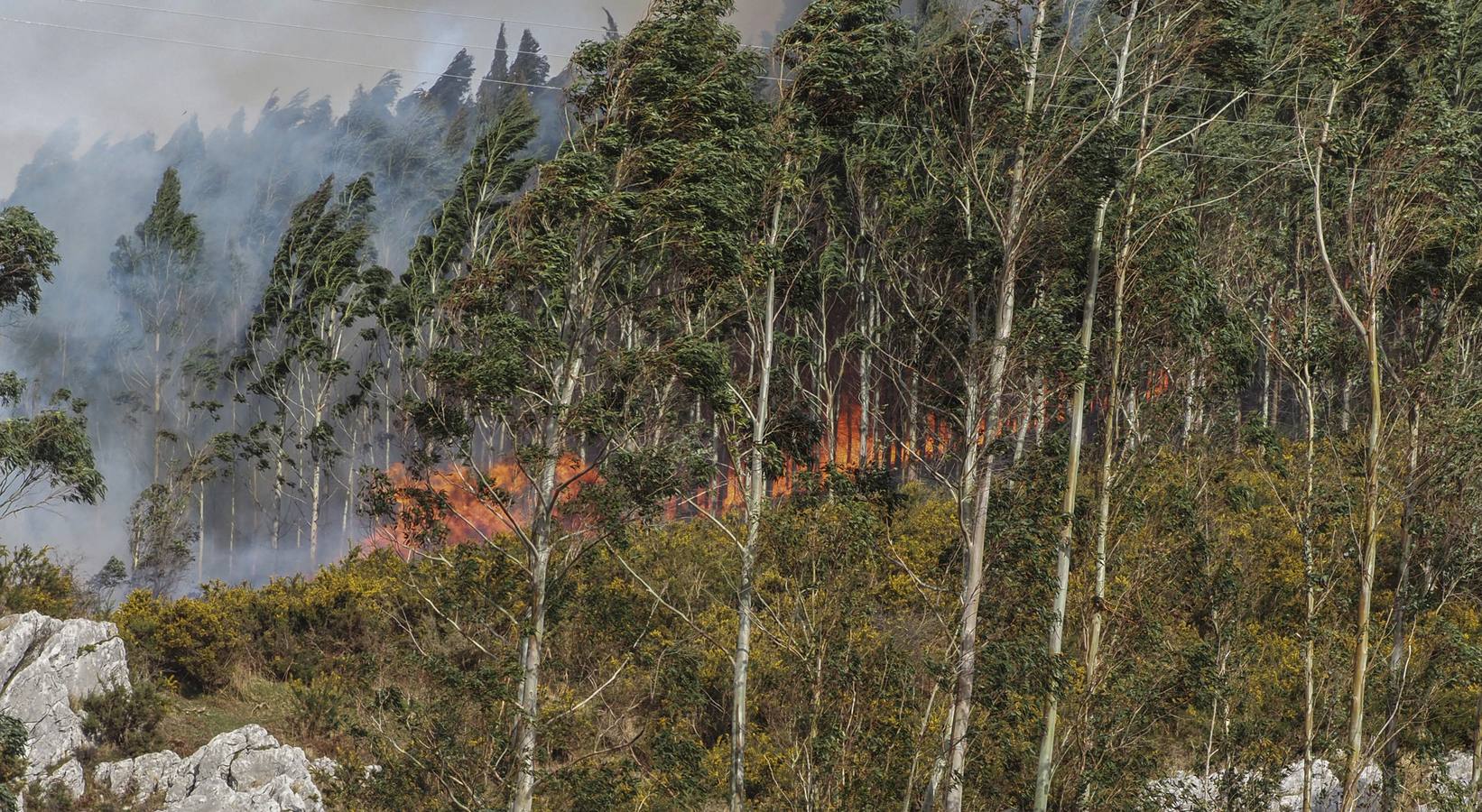 Imágenes de los incendios forestales registrados desde el martes por la tarde hasta este miércoles por la mañana en el Monte Dobra y en las zonas de San Roque de Riomiera, San Sebastián de Garabandal, Penagos, Toranzo, Vega de Pas y La Penilla de Cayón