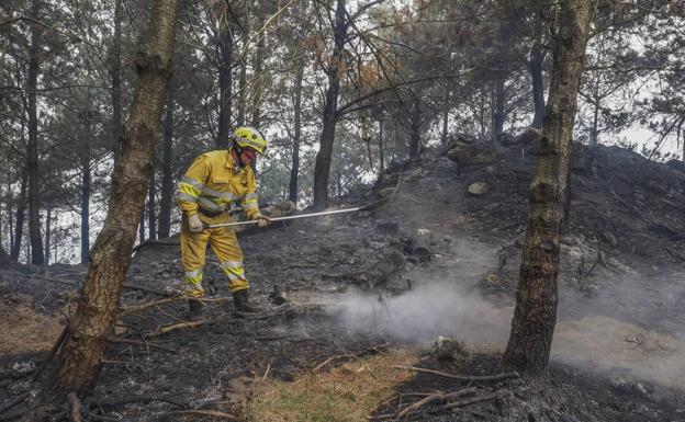 Revilla anuncia que dentro de unos días se sabrá que hay más investigados por incendios