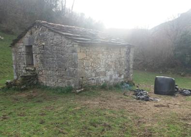 Imagen secundaria 1 - Cabaña de Los Palomos. A la derecha, dos terneros recién nacidos en el prado contiguo.