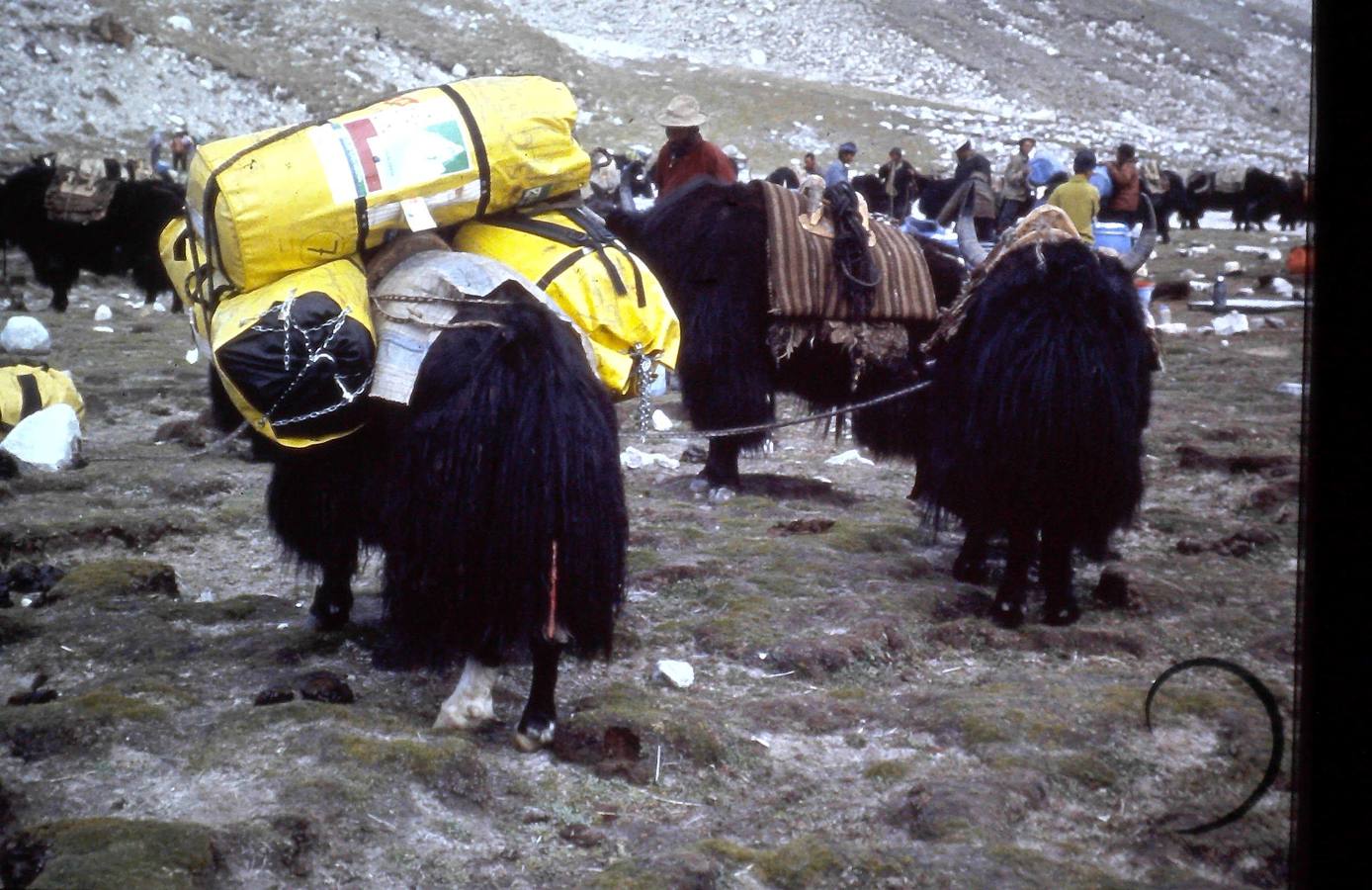 Fotos: Haciendo cumbre en el Cho-Oyu