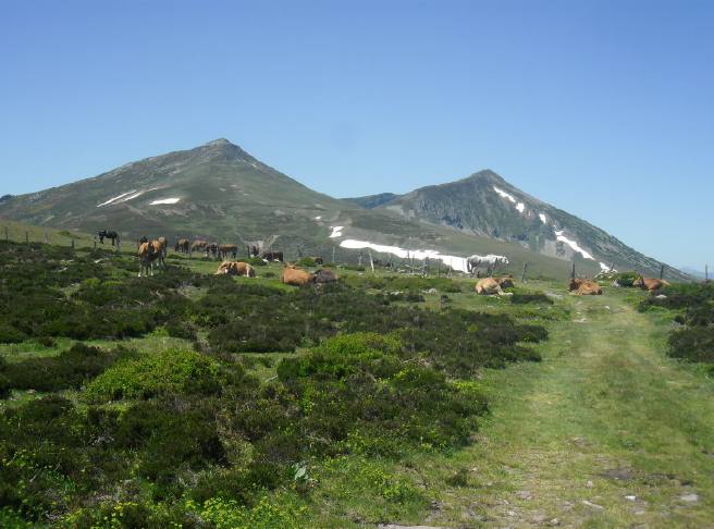 Vistas desde el Collado de Rumaceo: Al SO Pico Liguardi y Pico Cordel.