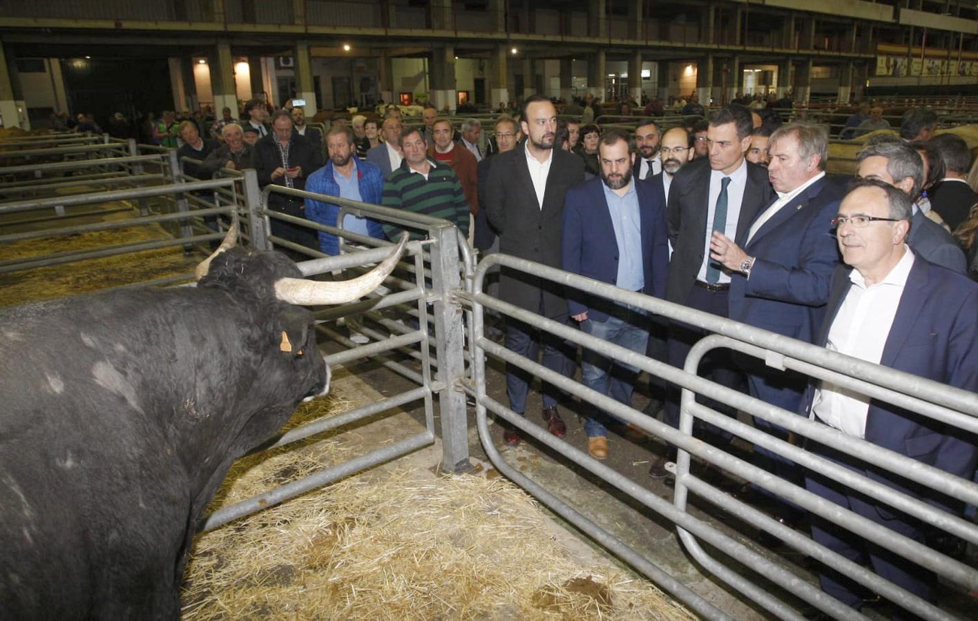 El Falcon del presidente del Gobierno ha aterrizado a las 16:30 en el aeropuerto Seve Ballesteros | Tras visitar la neocueva y las salas del museo, el líder socialista estará en el Mercado Nacional de Ganados de Torrelavega y mantendrá un encuentro con jóvenes en la bolera Severino Prieto 