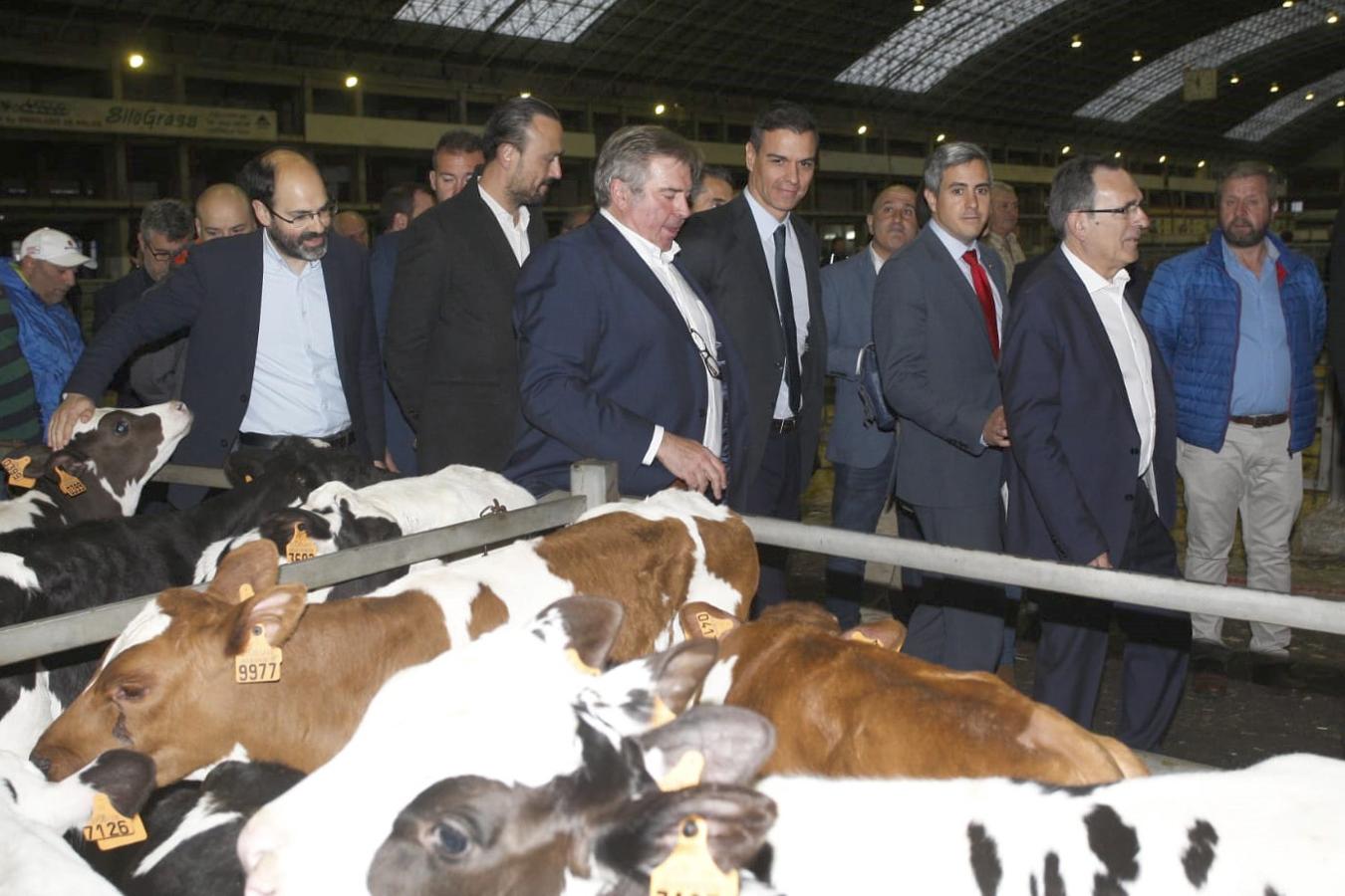 El Falcon del presidente del Gobierno ha aterrizado a las 16:30 en el aeropuerto Seve Ballesteros | Tras visitar la neocueva y las salas del museo, el líder socialista estará en el Mercado Nacional de Ganados de Torrelavega y mantendrá un encuentro con jóvenes en la bolera Severino Prieto 