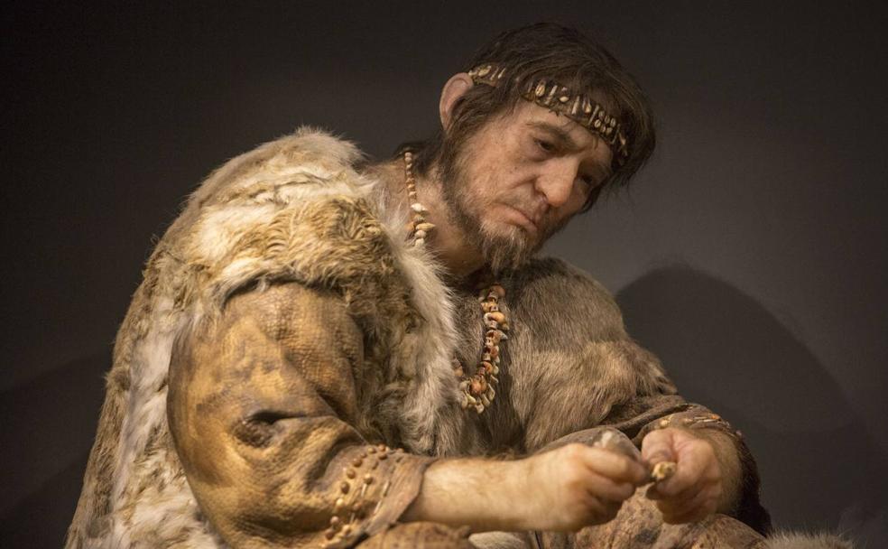 Recreación de homo sapiens que expone el Museo de Prehistoria de Cantabria. 