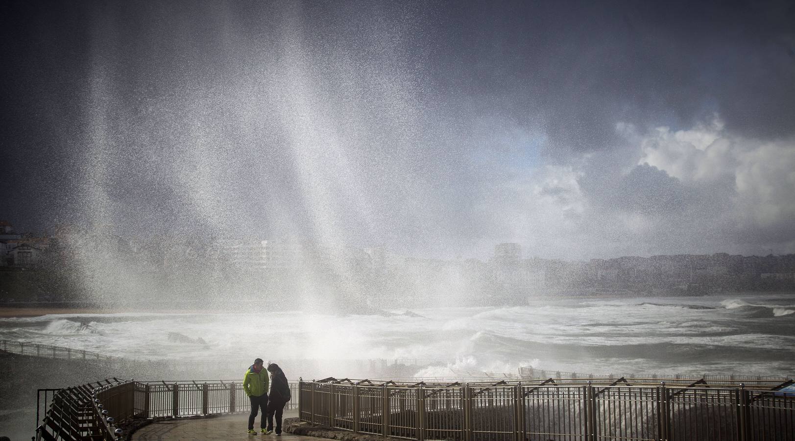 Parque de la península de La Magdalena.