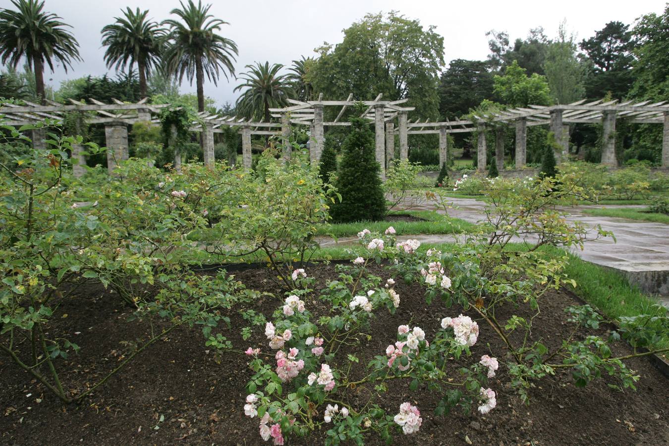 Parque de Mataleñas.