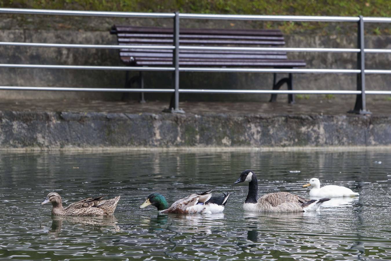Parque de Mataleñas.