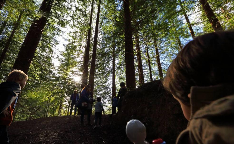 El bosque de las secuoyas es uno de los principales recursos turísticos de Cabezón de la Sal. 