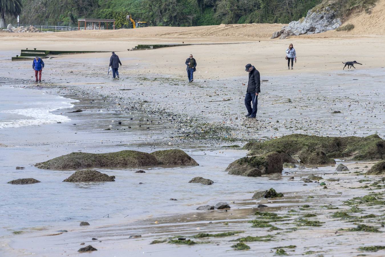 Fotos: La Playa de La Magdalena, ayer en la bajamar