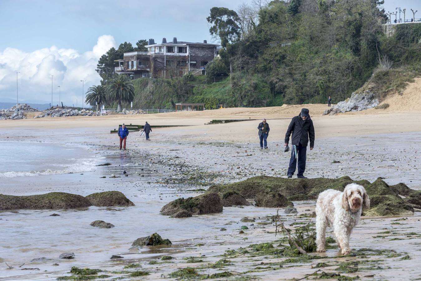 Fotos: La Playa de La Magdalena, ayer en la bajamar